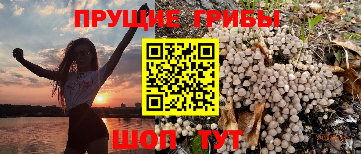 Галлюциногенные грибы ЛСД  Вход с VPN  Псилоцибиновые грибы MAGIC MUSHROOMS  Людиново 
